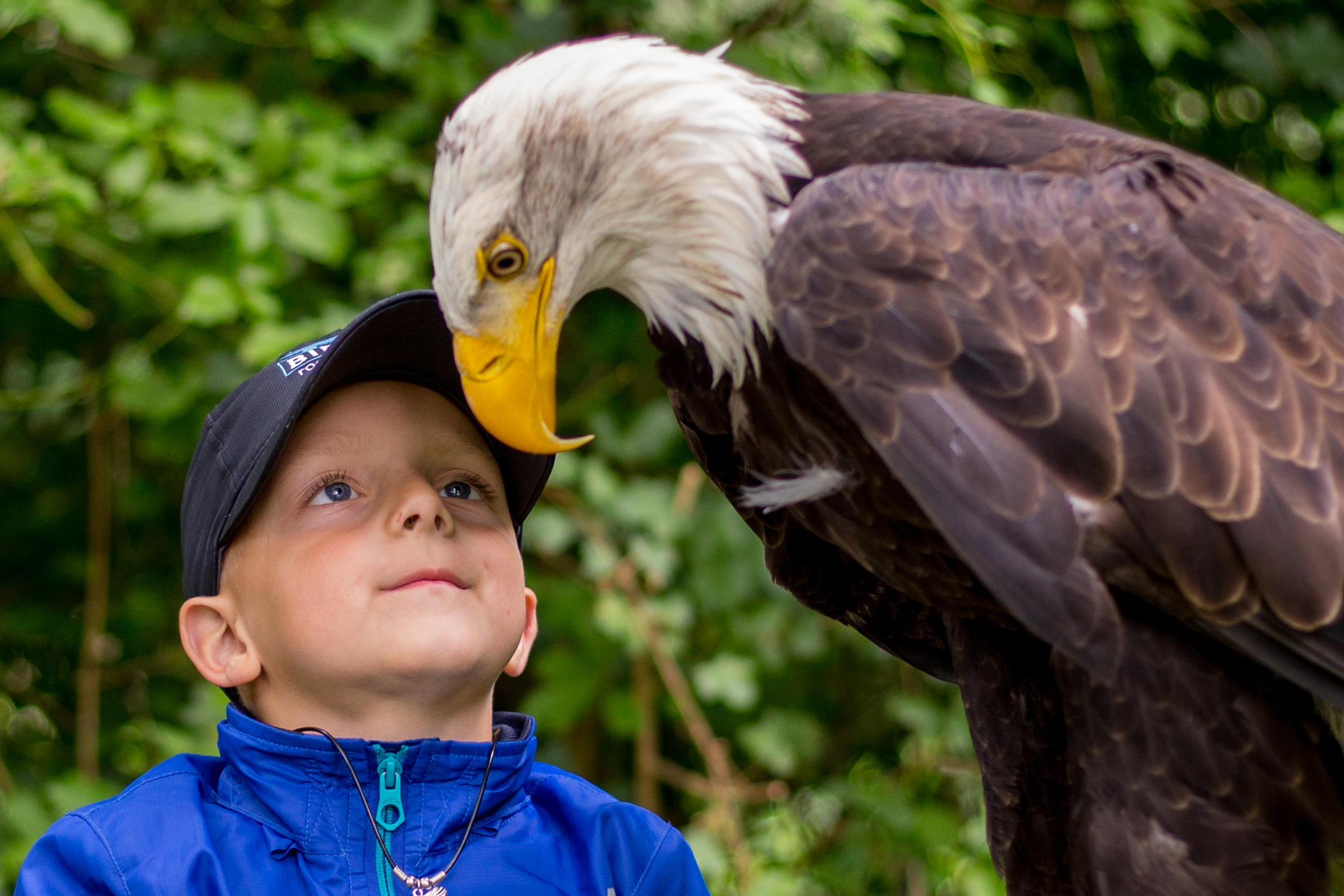 © Stichting Happy Wings